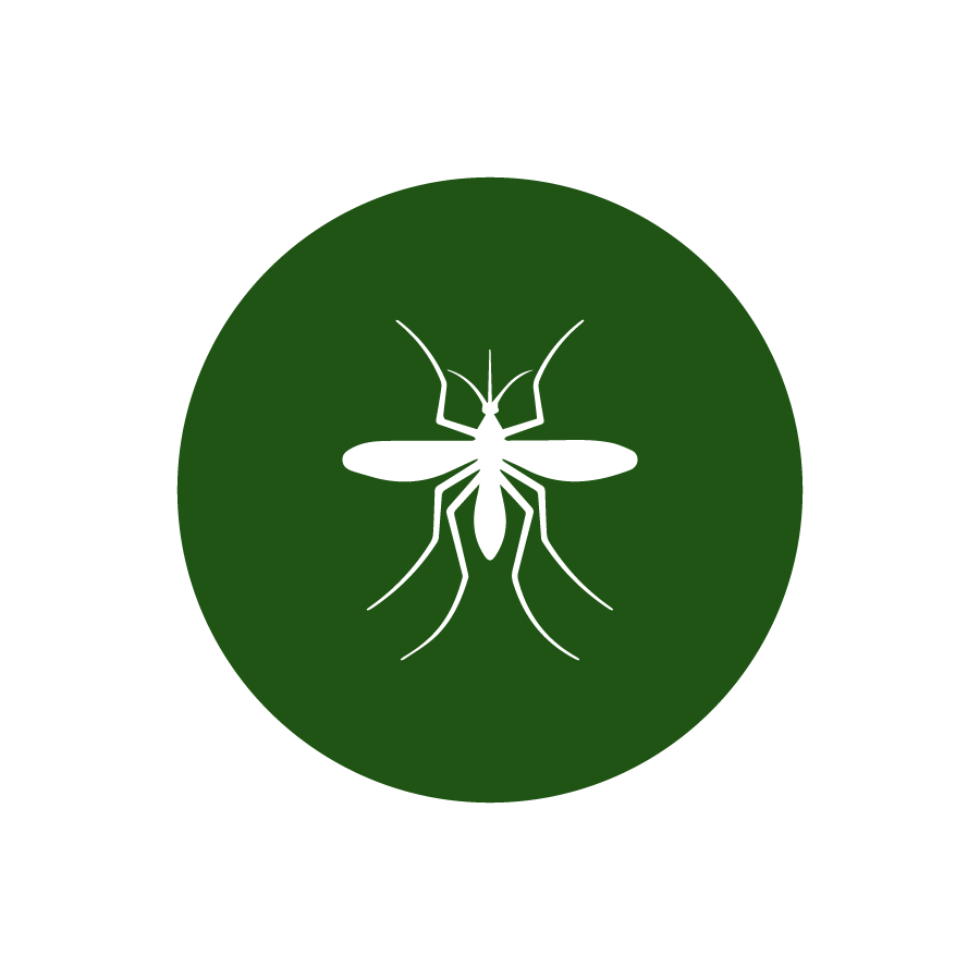 Services - Mosquito Control - Small Frame-01